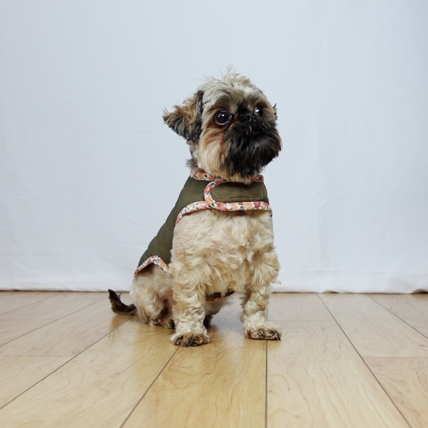 Dog Coat Pattern - PDF Sewing Pattern