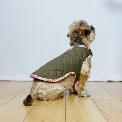 Dog Coat Pattern - PDF Sewing Pattern