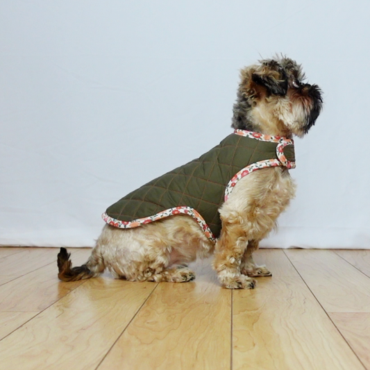 Dog Coat Pattern - PDF Sewing Pattern